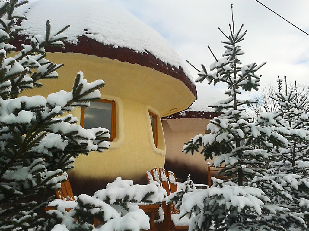 Art Apartments Minic Kolasin Exterior photo