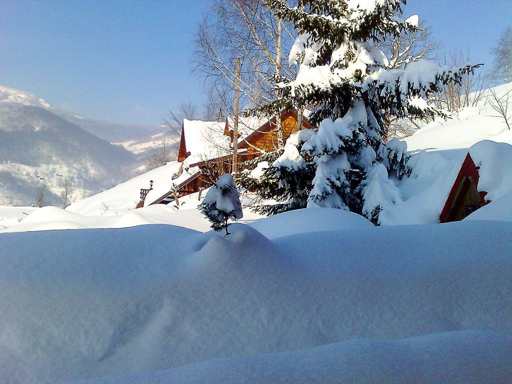 Art Apartments Minic Kolasin Exterior photo