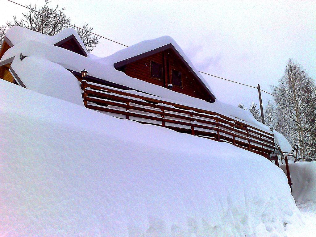 Art Apartments Minic Kolasin Exterior photo