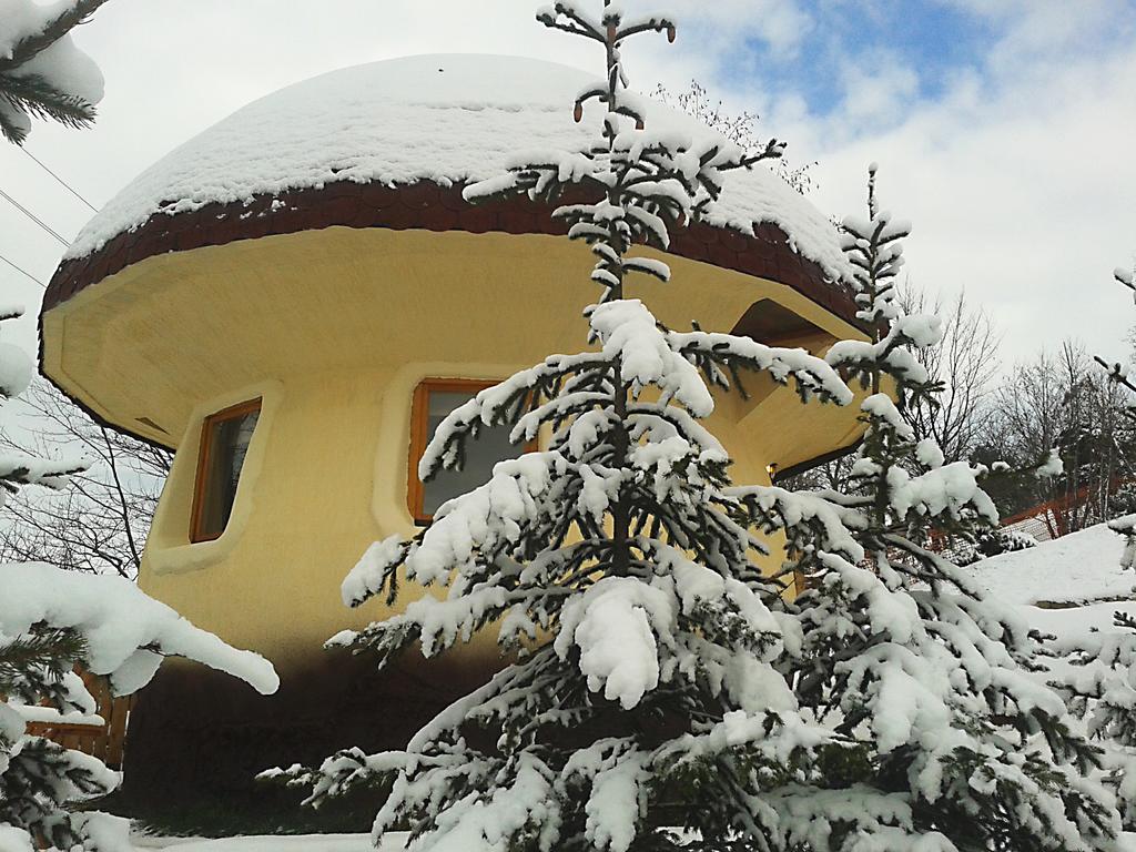 Art Apartments Minic Kolasin Exterior photo